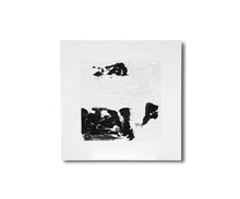 Load image into Gallery viewer, Wanderer's Lament Wall Art