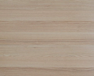 Hayden Student Desk