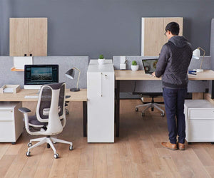 Jensen Double Sit Stand Desk with Reversible Panel
